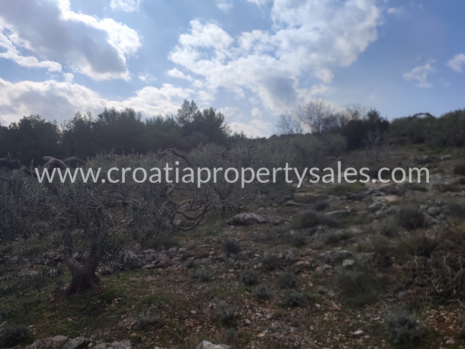 Zemljište Na prodaju -  Brac