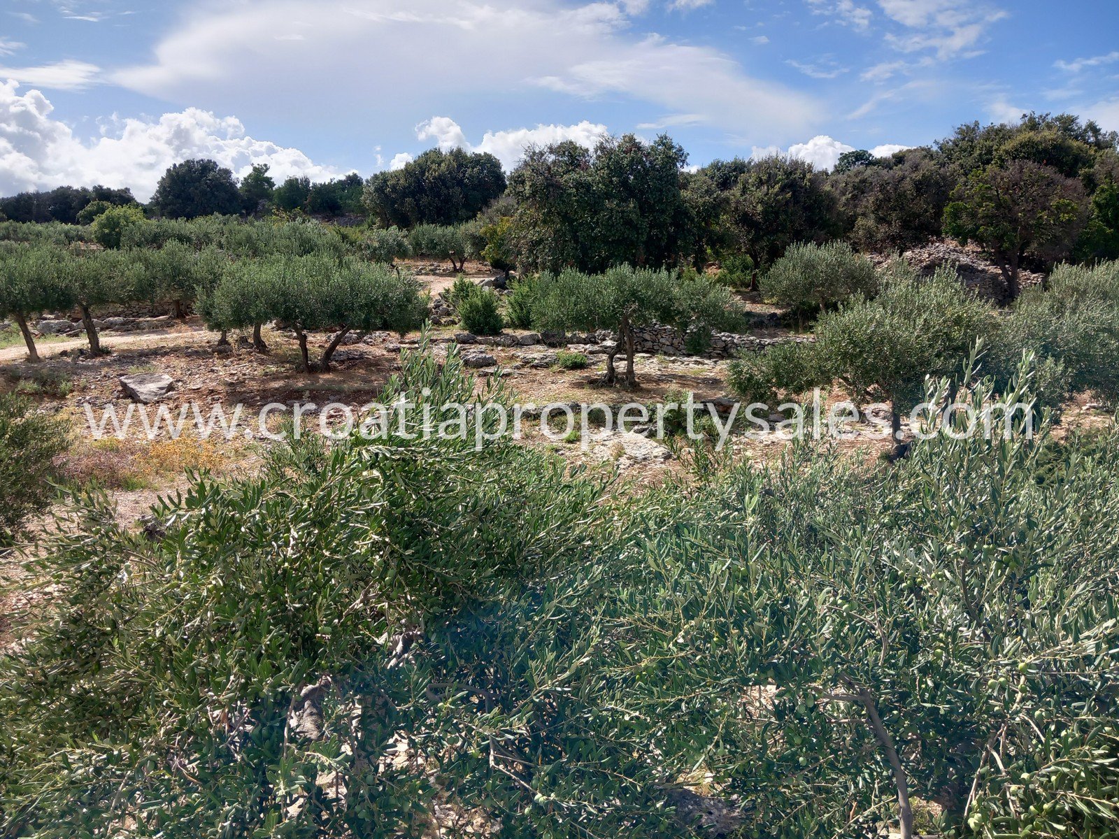 Parcela Naprodaj -  Brac