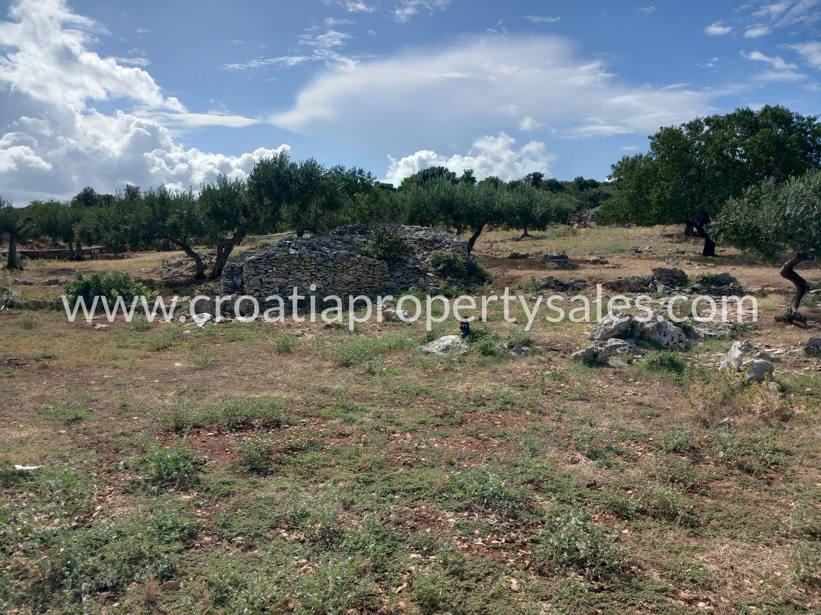 Terreno In vendita -  Brac