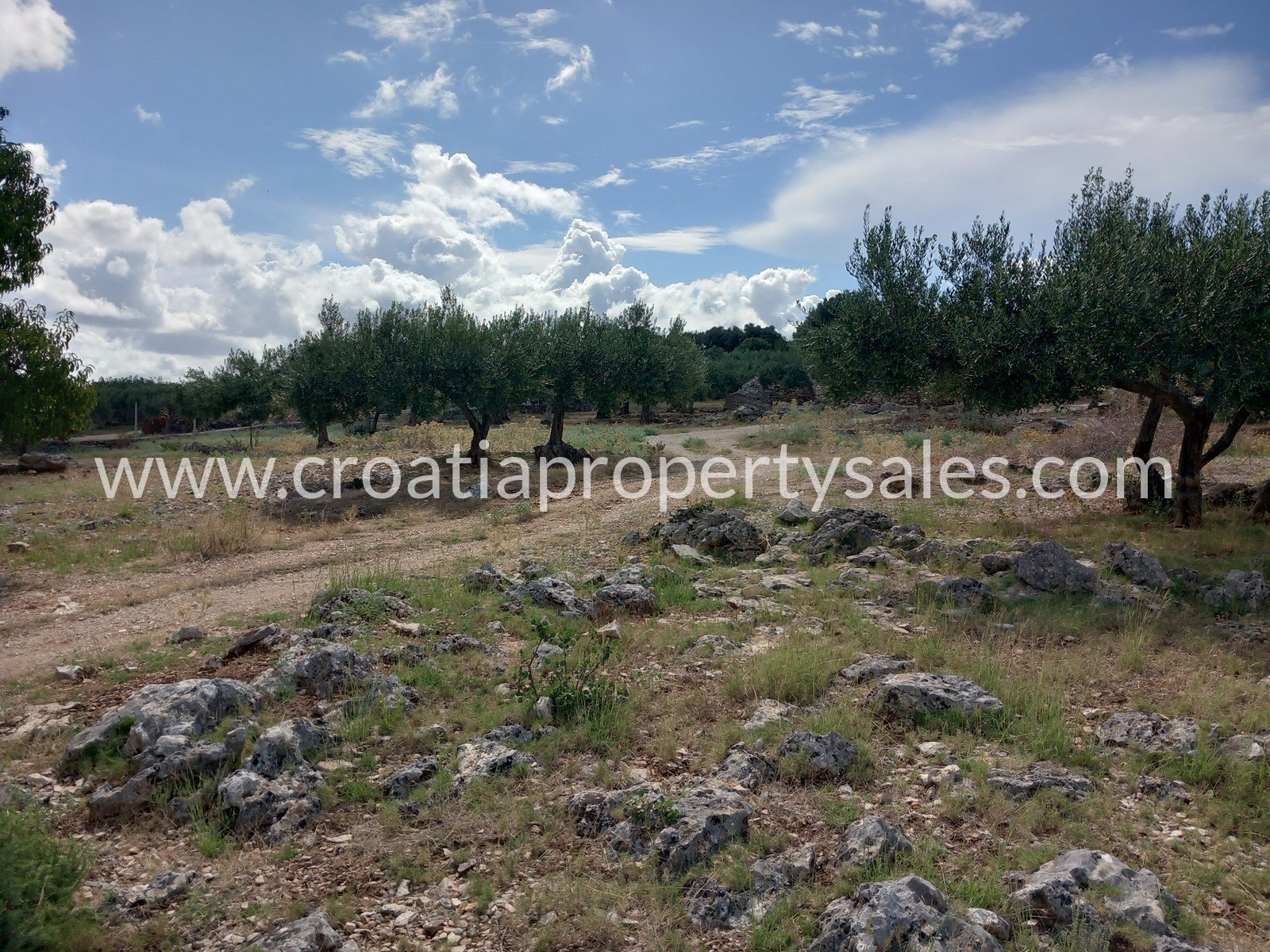 Terreno In vendita -  Brac