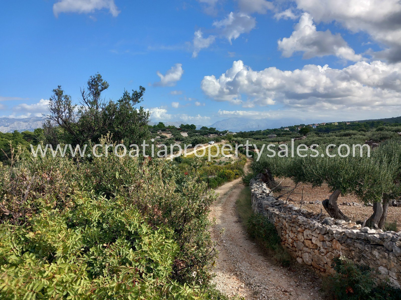 Terreno In vendita -  Brac