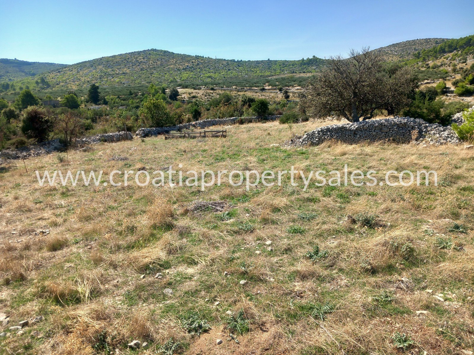 Terreno In vendita -  Brac