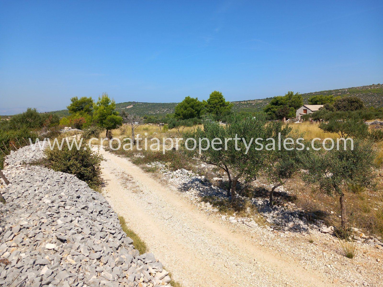 Terreno In vendita -  Brac