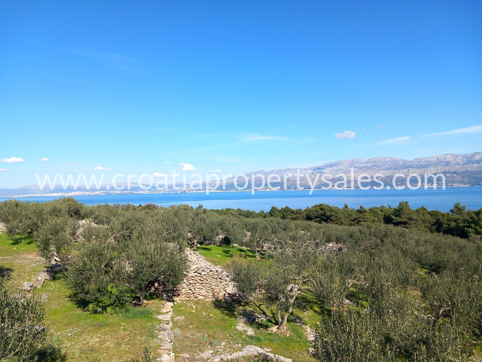 Terrain À vendre Brac