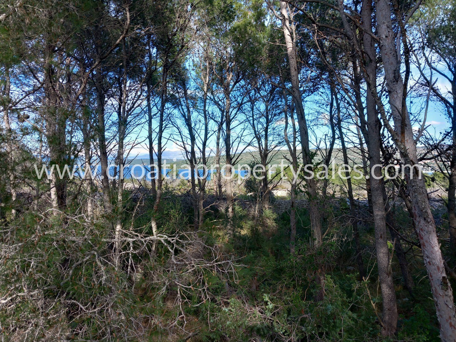 Terreno In vendita Brac
