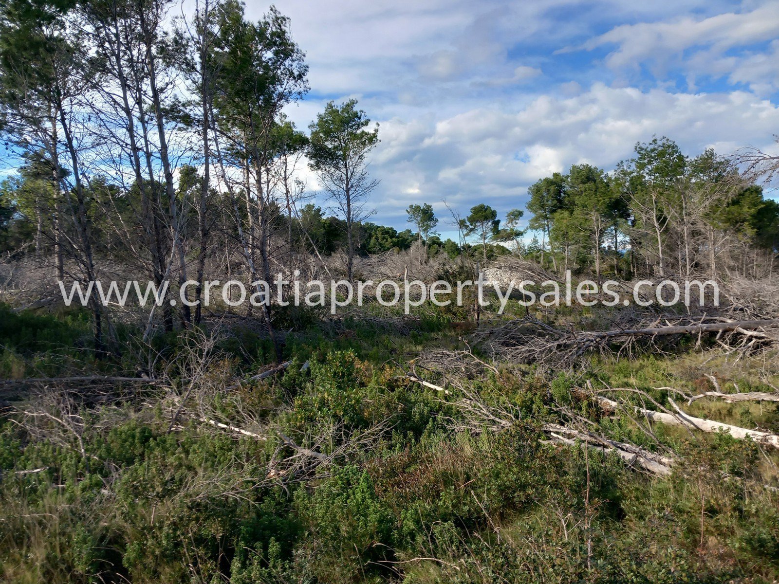 Zemljište Na prodaju -  Brac