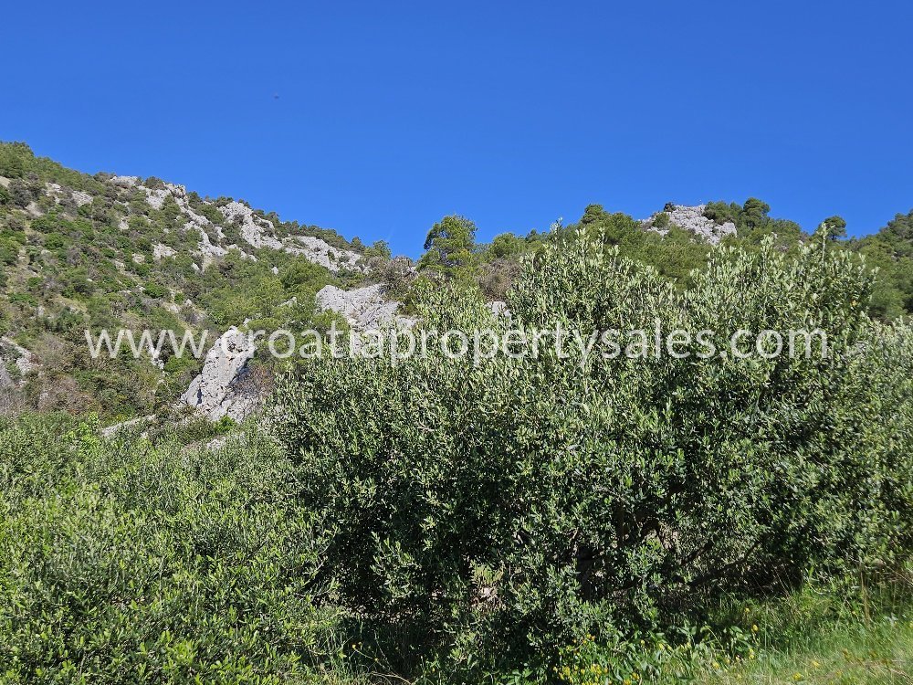 Terrain À vendre -  Hvar