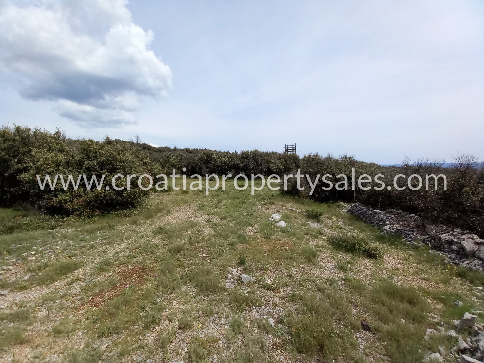 Terreno In vendita - Brac - foto 4/9