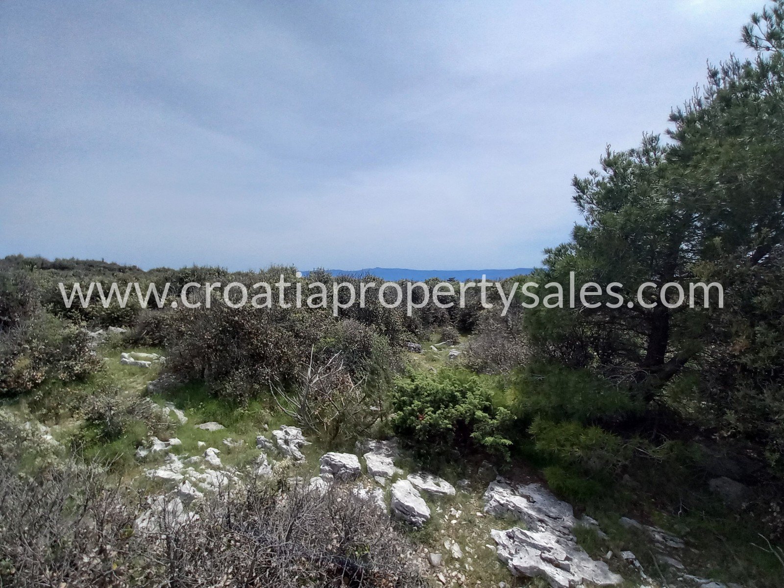 Terreno In vendita - Brac - foto 5/9