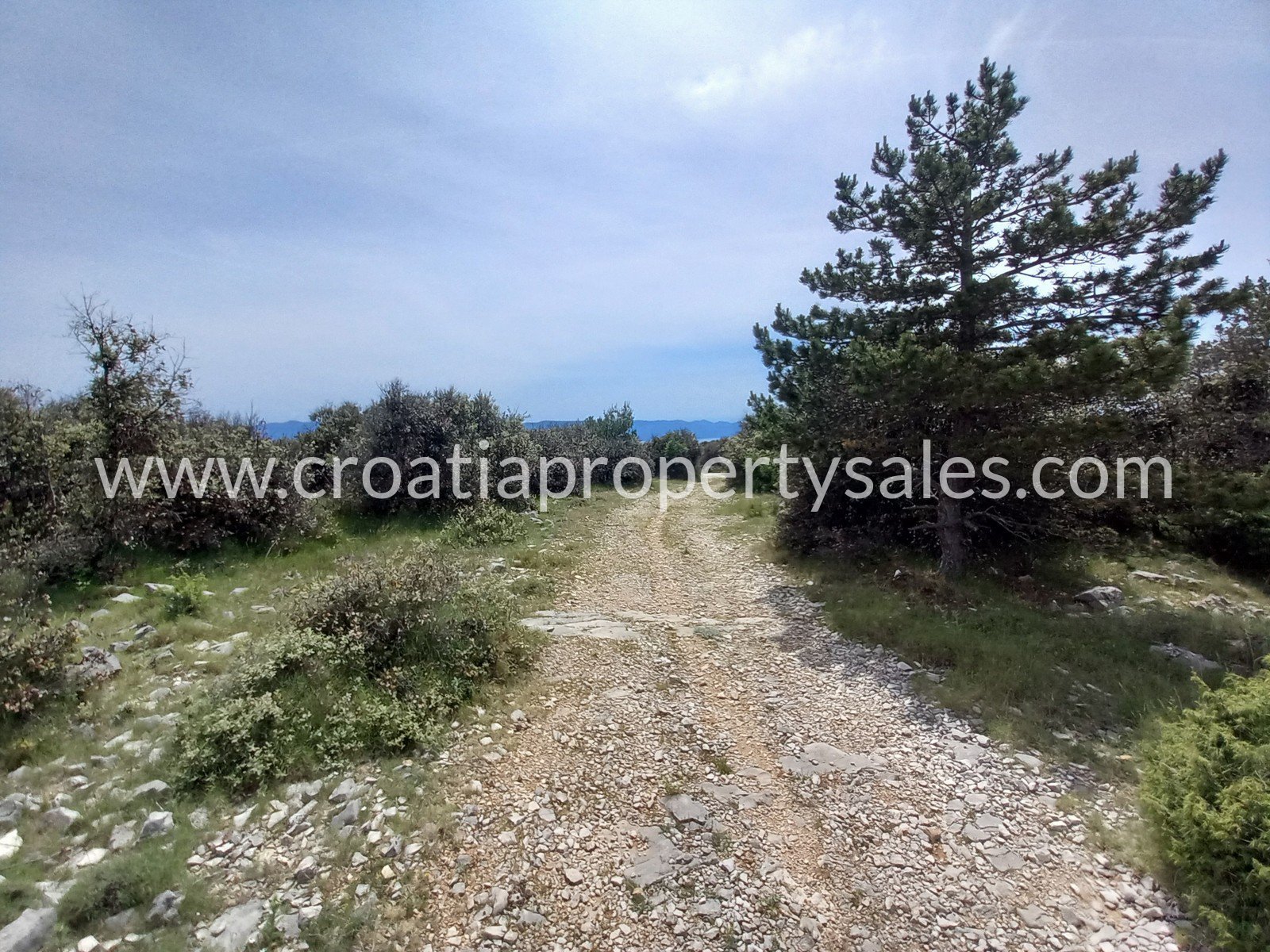 Terreno In vendita -  Brac