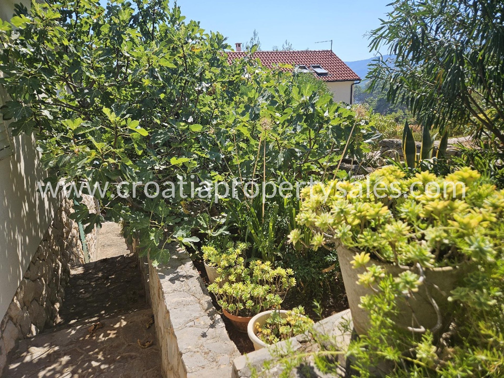 Kuća Na prodaju - Splitsko-dalmatinska Hvar