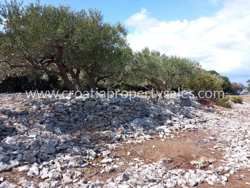 Zemljište Na prodaju -  Brac