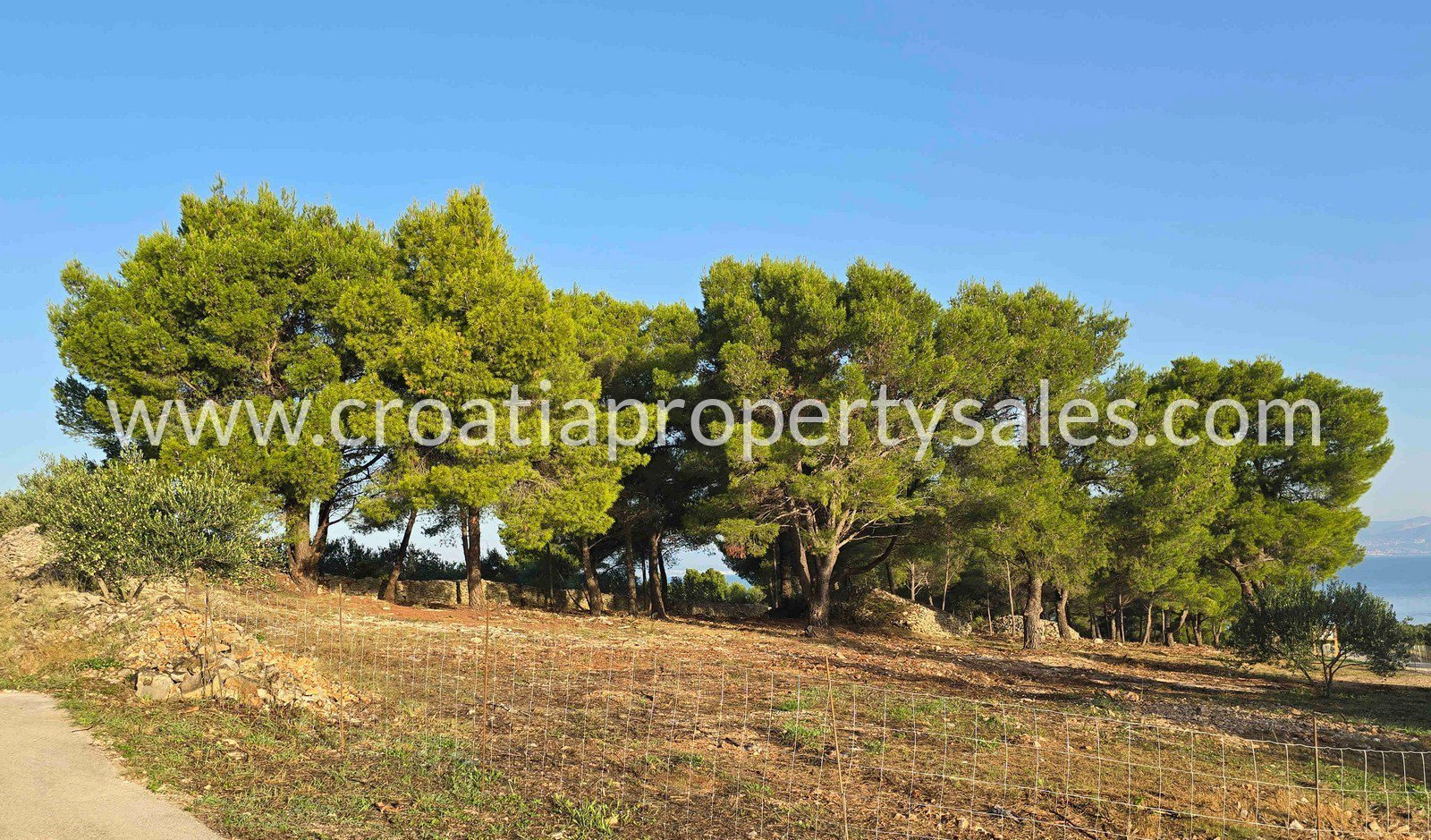 Terrain À vendre -  Brac