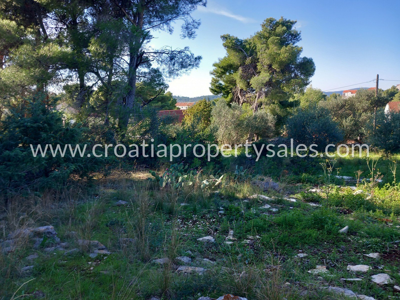 Terreno In vendita - Brac - foto 4/8