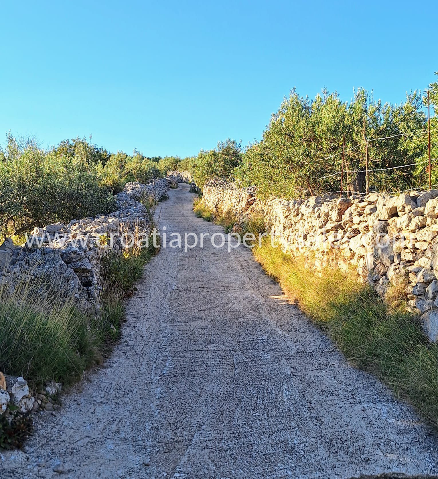 Pozemek Na prodej -  Brac