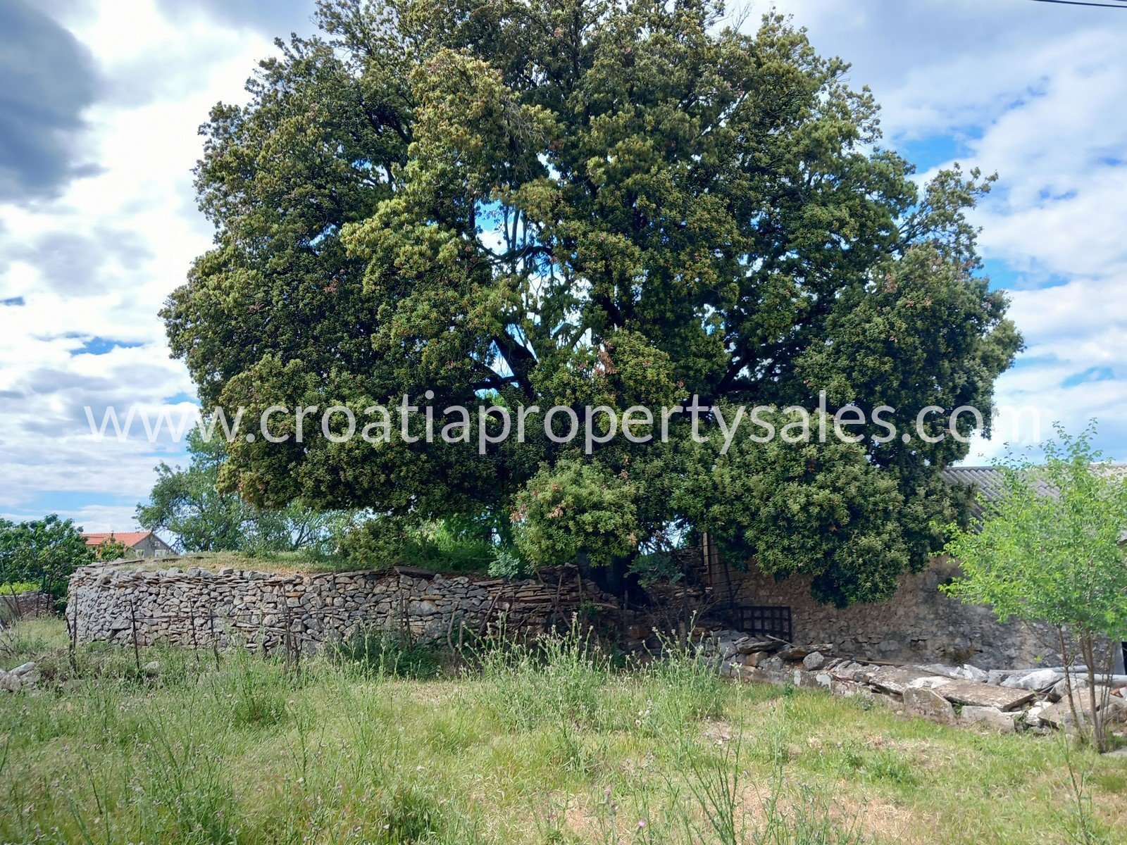 Dom Na predaj - Brac - foto 4/13