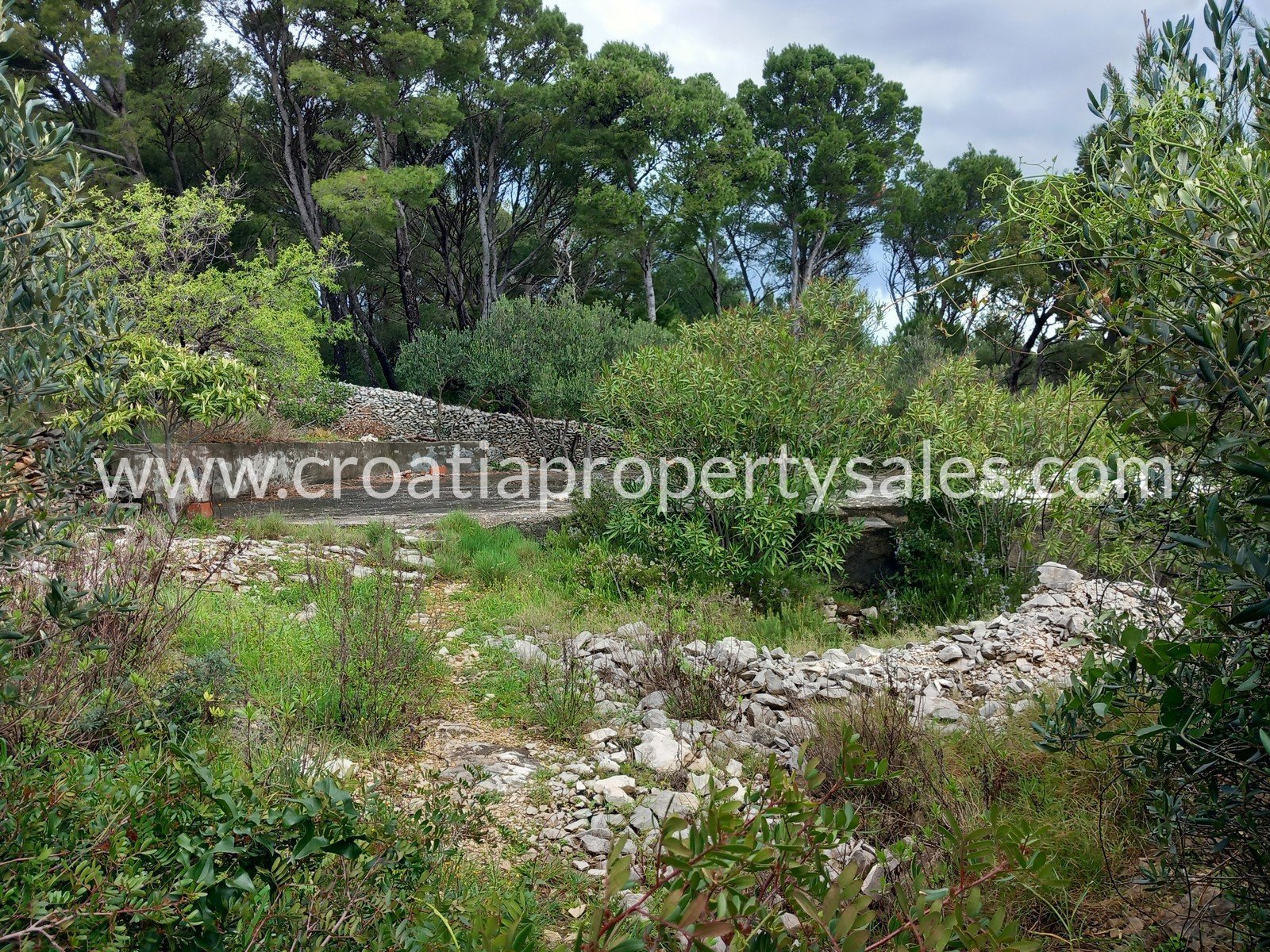 Terrain À vendre -  Brac