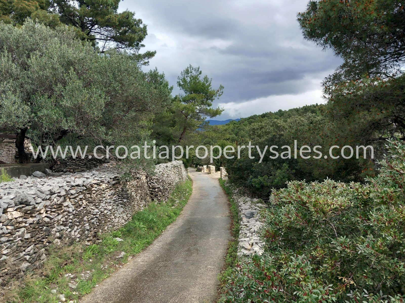 Terrain À vendre -  Brac