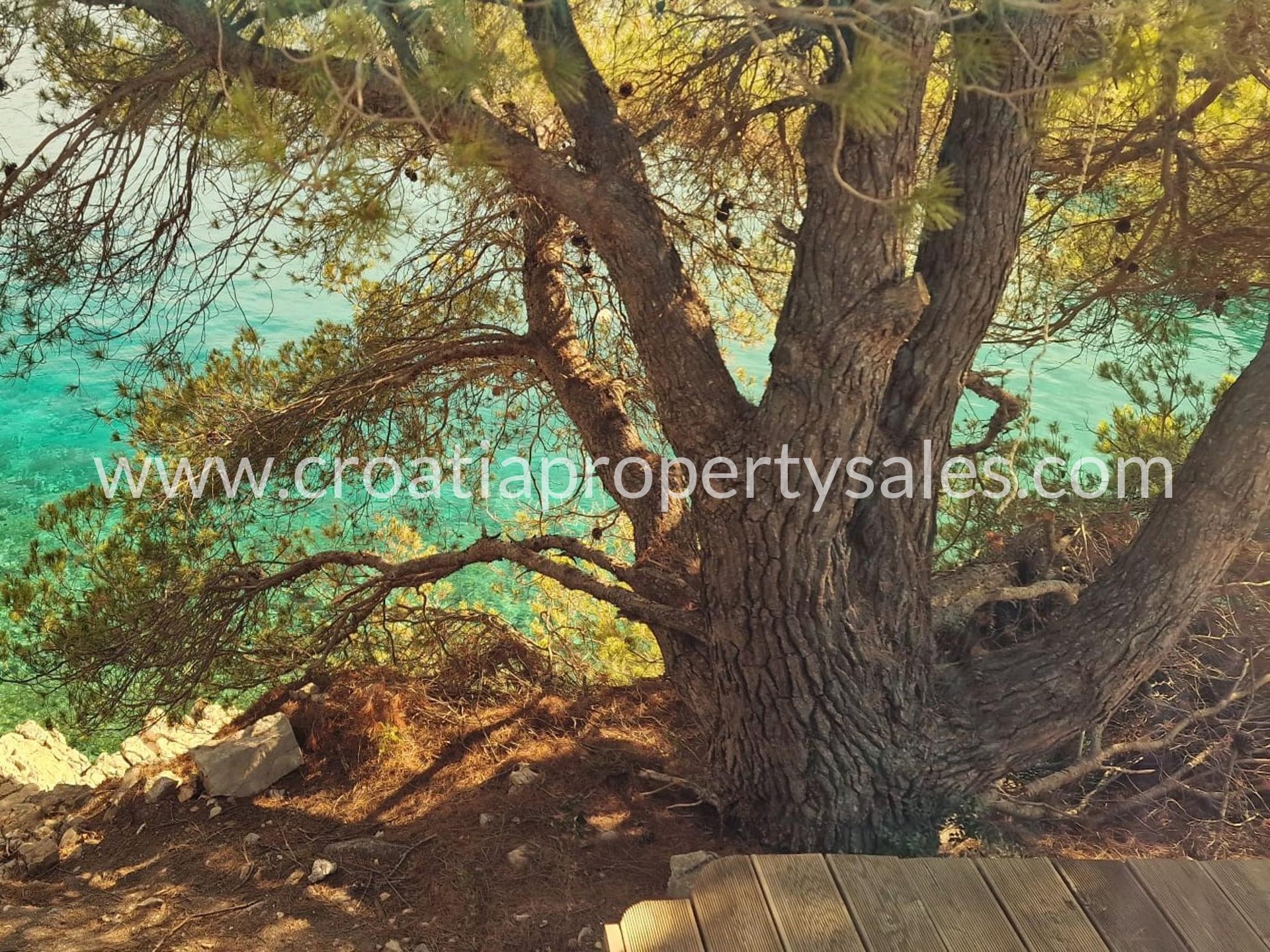 Terrain À vendre - Splitsko-dalmatinska Hvar - foto 4/5