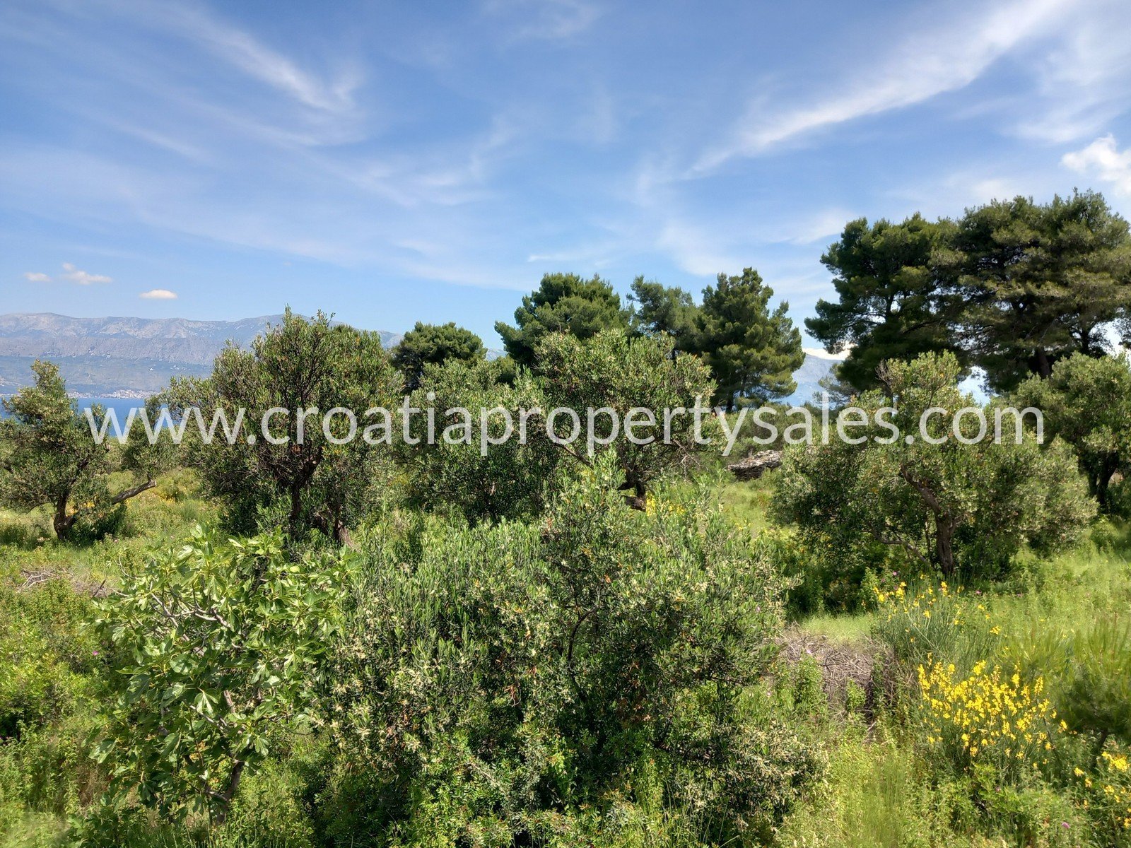 Land For sale -  Brac