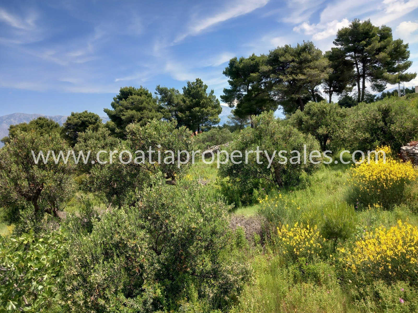 Land For sale -  Brac
