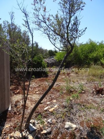 Land For sale - Splitsko-dalmatinska šolta - foto 3/3