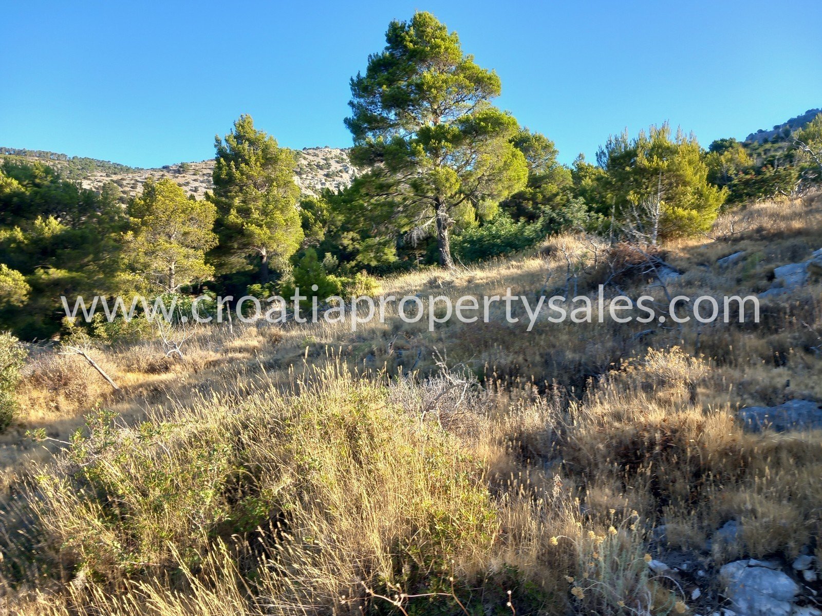 Land For sale - Brac - foto 2/6
