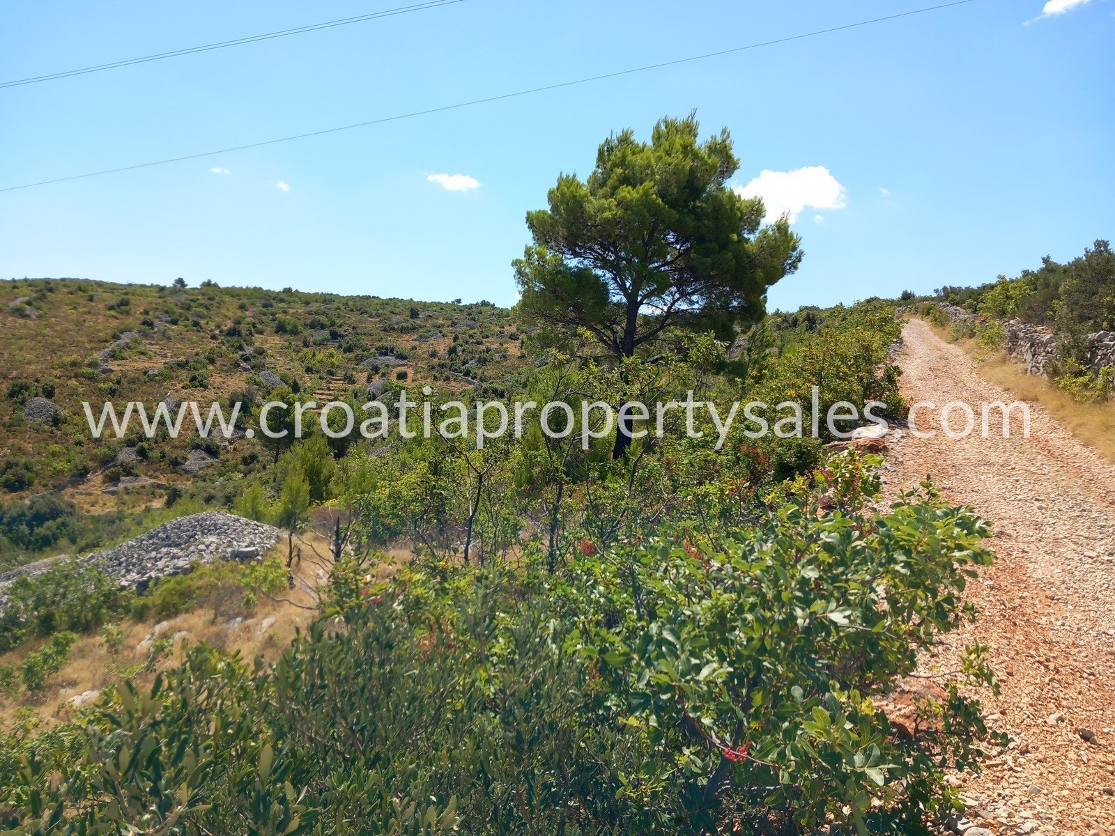 Terrain À vendre -  Brac