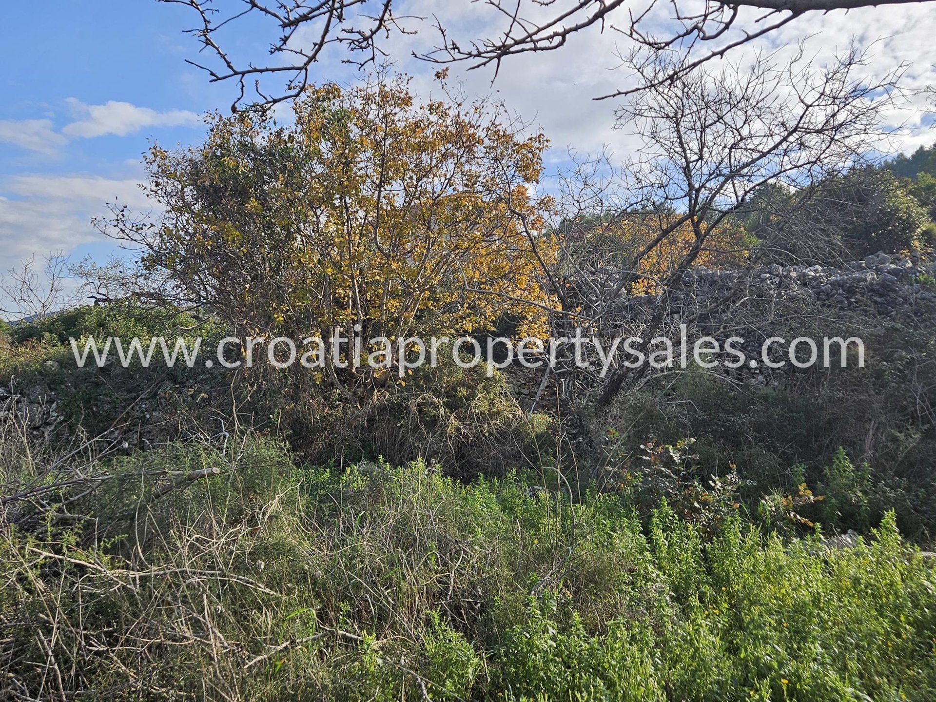 Land For sale - Splitsko-dalmatinska Hvar - foto 5/6