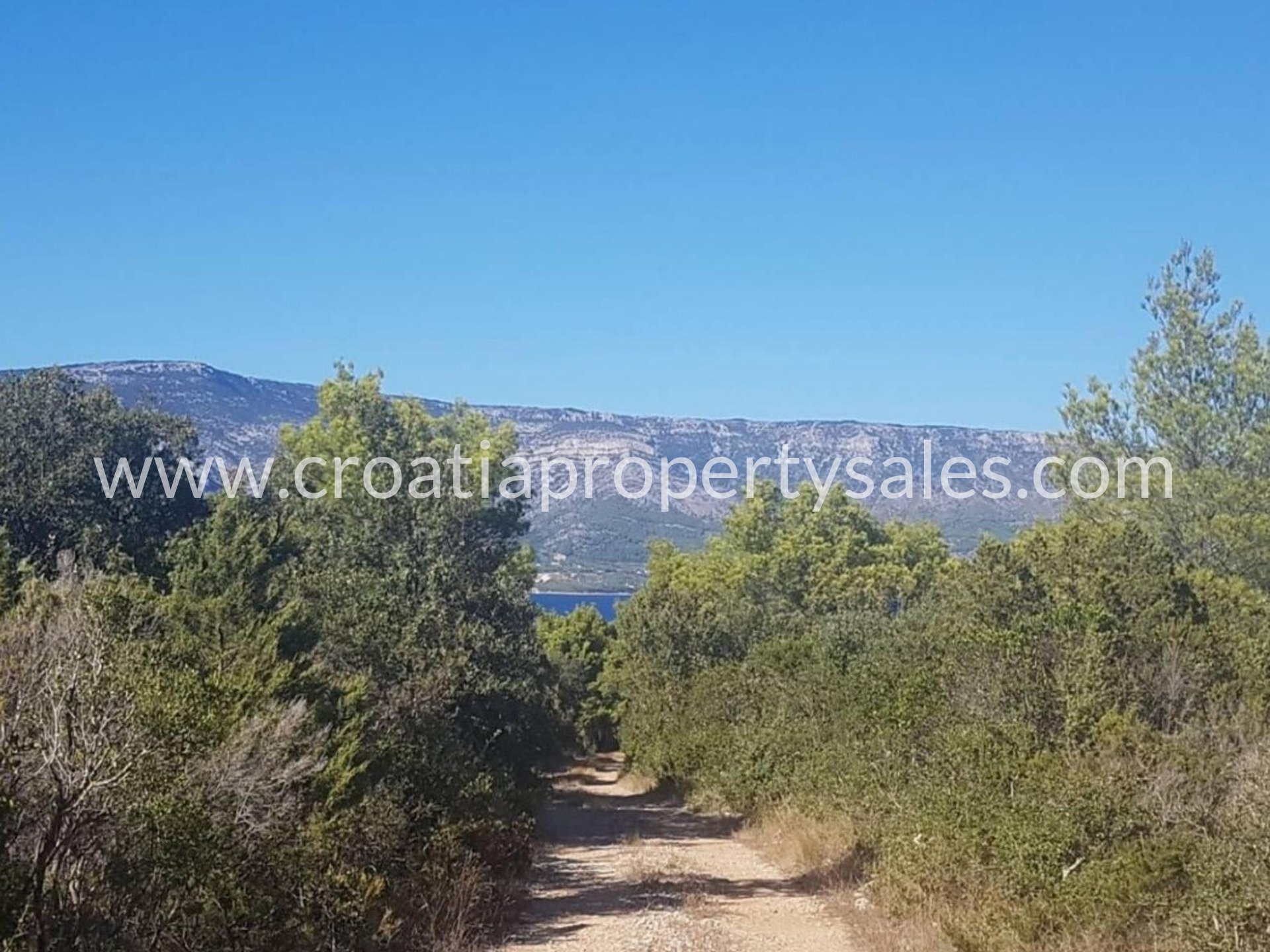 Terrain À vendre - Splitsko-dalmatinska Hvar - foto 4/5