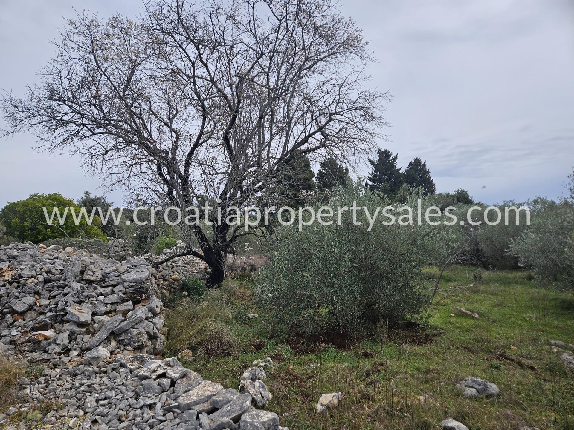 Land For sale - Splitsko-dalmatinska Hvar