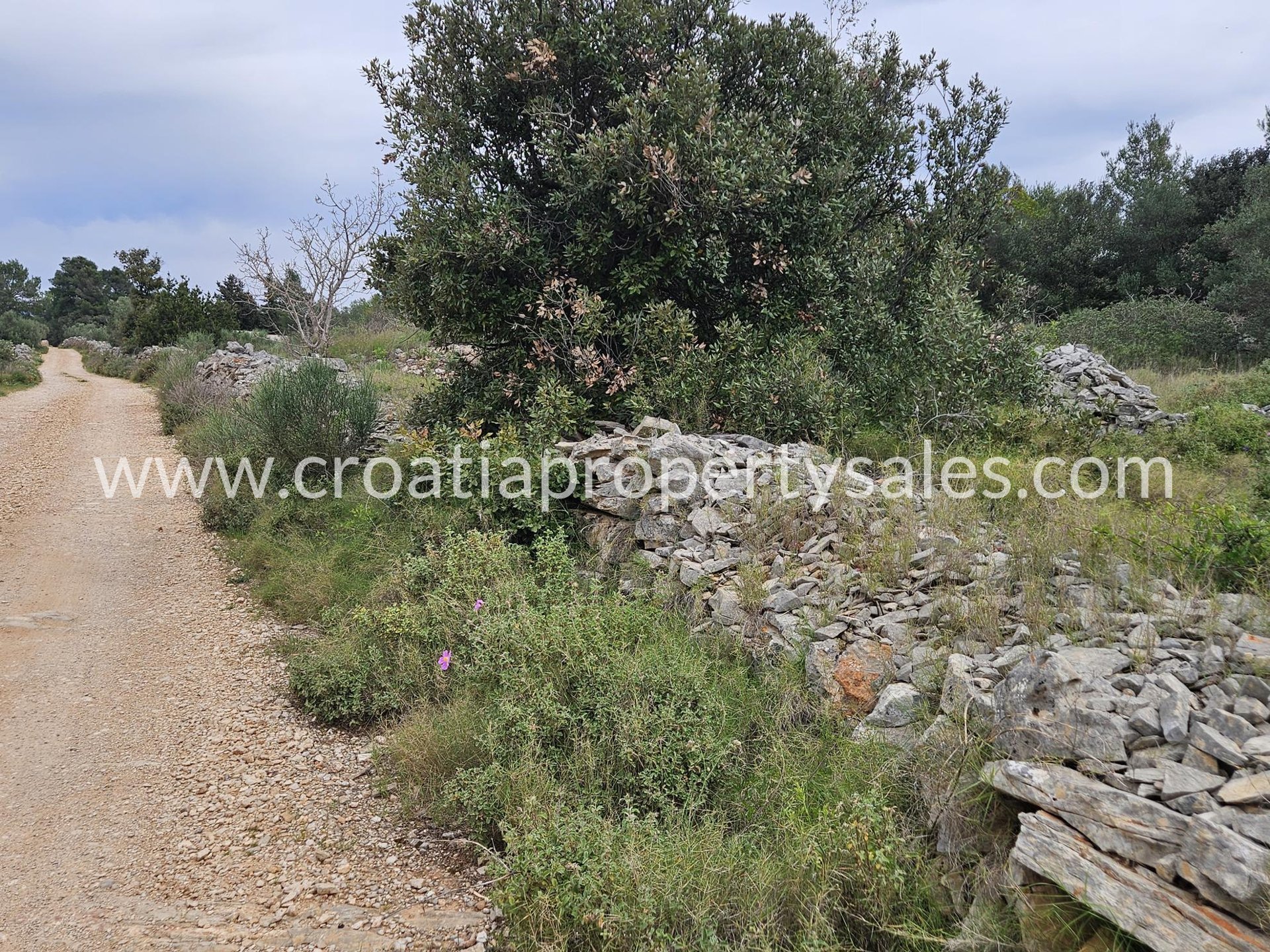 Parcela Naprodaj - Splitsko-dalmatinska Hvar