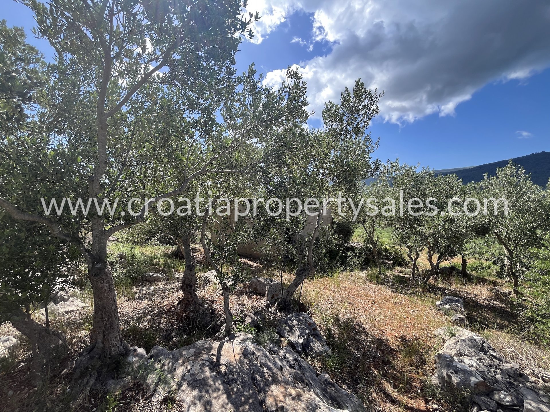 Pozemek Na prodej - Splitsko-dalmatinska Hvar - foto 1/12