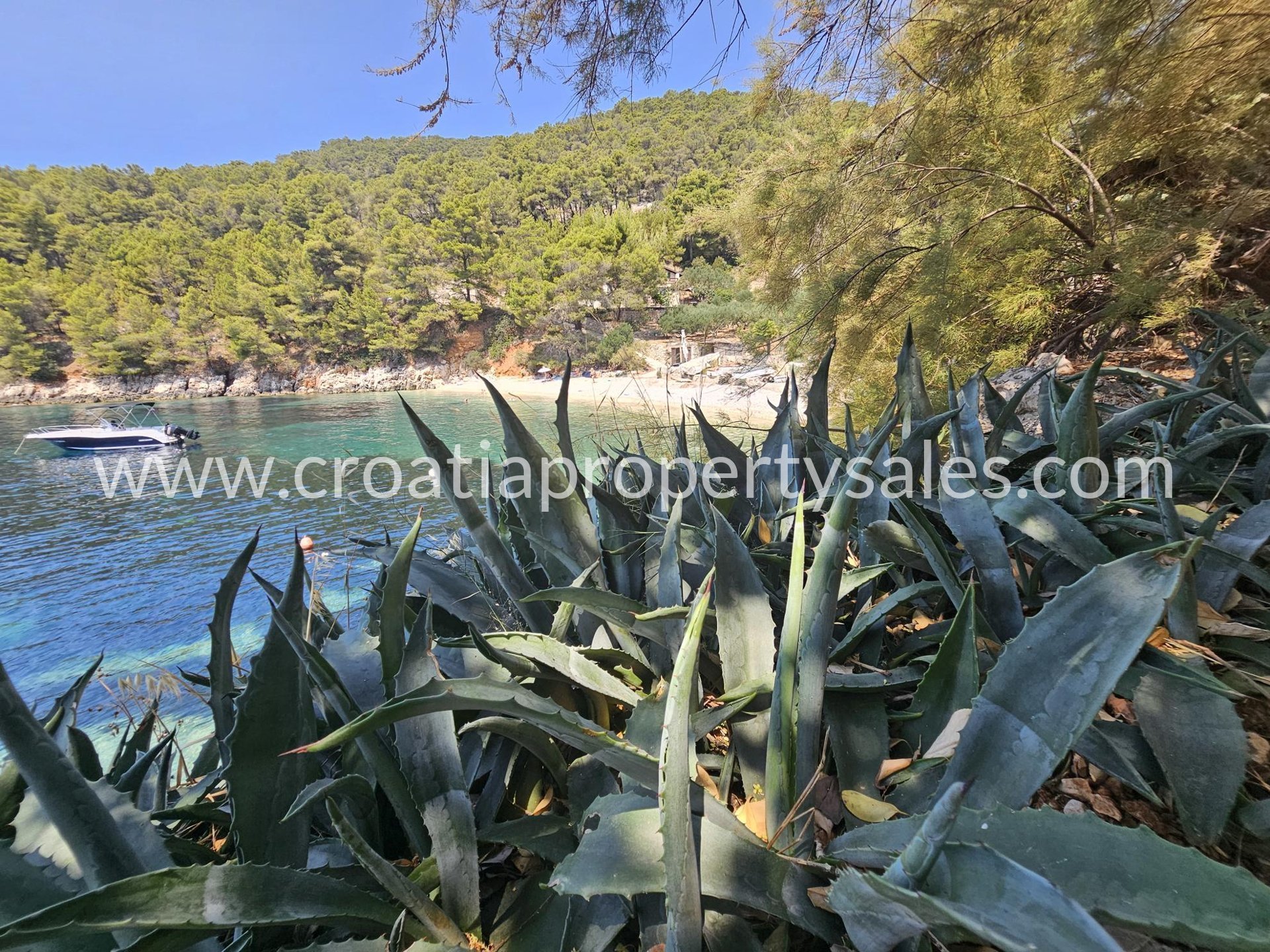 Maison À vendre - Splitsko-dalmatinska Hvar