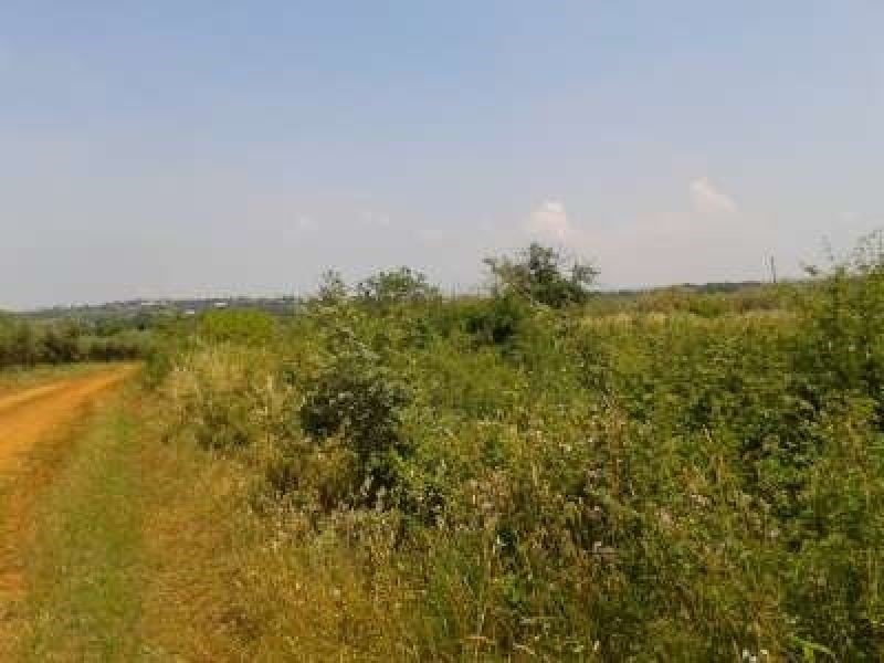 Land For sale - ISTARSKA  TAR-VABRIGA 