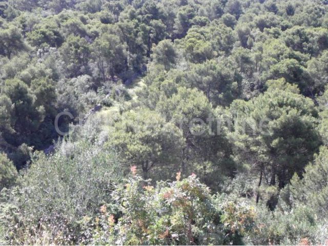 Parcela Naprodaj - Splitsko-dalmatinska Trogir - foto 4/8