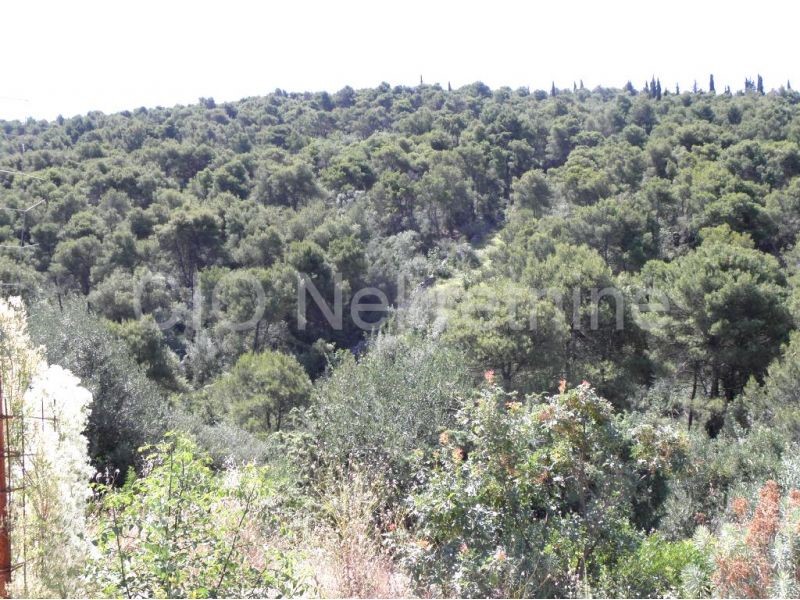 Land For sale - SPLITSKO-DALMATINSKA  TROGIR 