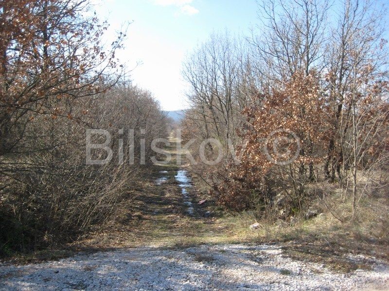 Land For sale - SPLITSKO-DALMATINSKA  SINJ 