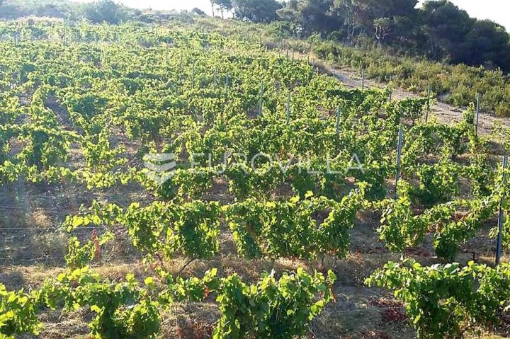 Land For sale - Splitsko-dalmatinska Vis - foto 3/8