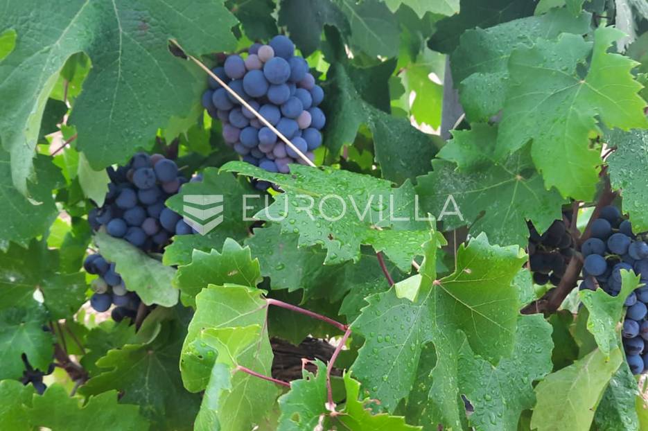 Parcela Naprodaj - Splitsko-dalmatinska Vis