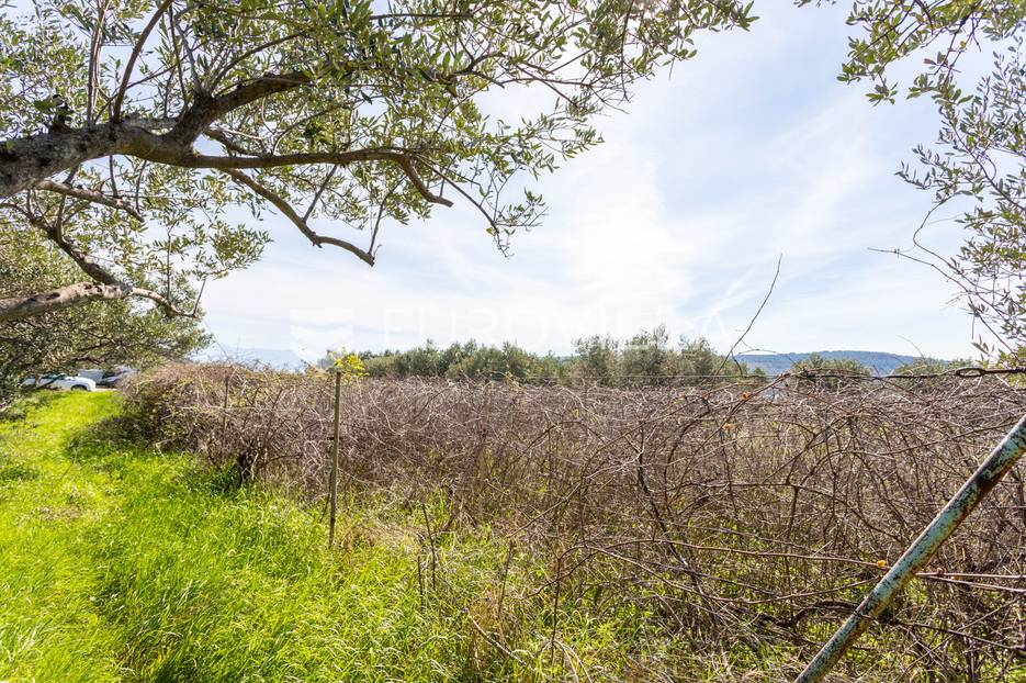 Land For sale -  Trogir