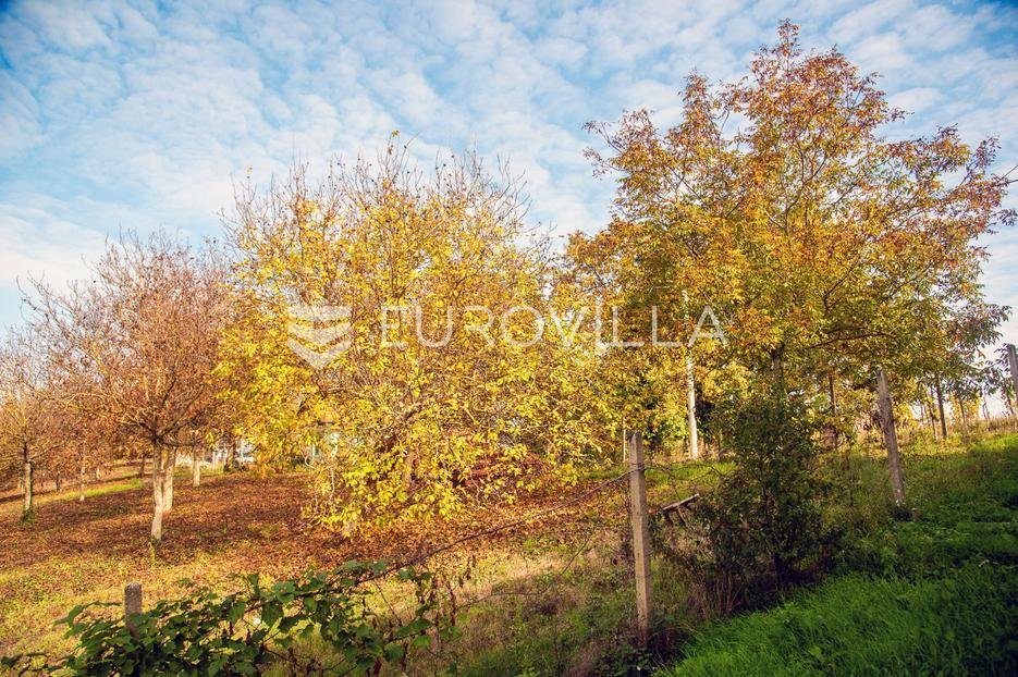 Działka Na sprzedaż - Koprivničko-križevačka Sveti Petar Orehovec
