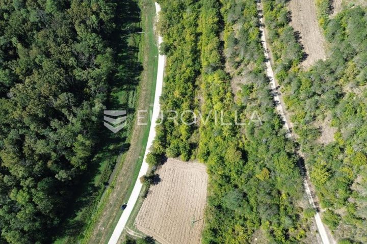Parcela Naprodaj - Istarska Oprtalj - foto 5/18