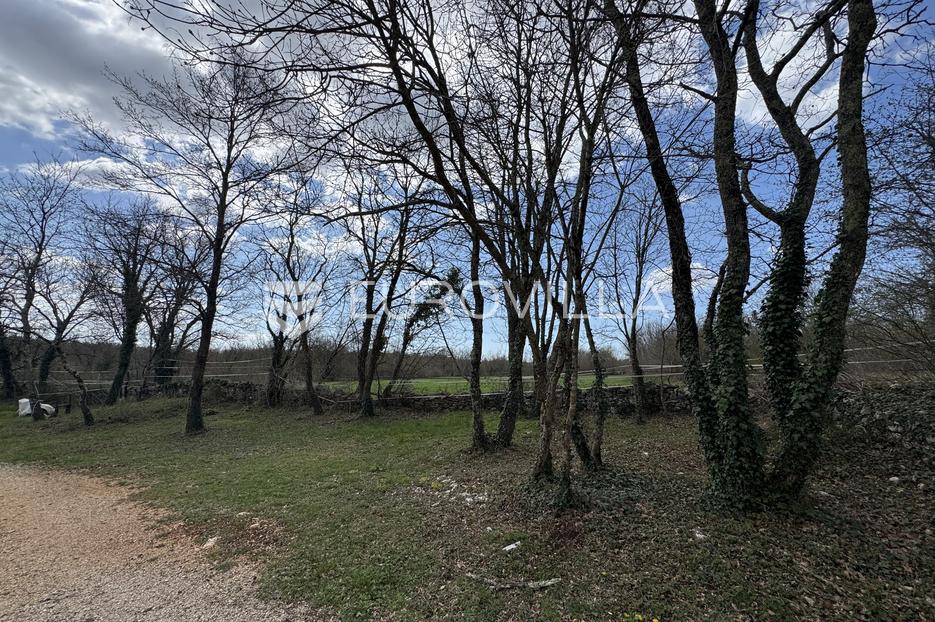Kuća Na prodaju -  Tinjan