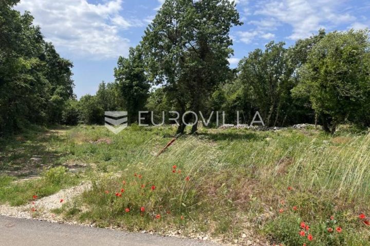 Parcela Naprodaj - Istarska Sveti Lovreč - foto 3/4