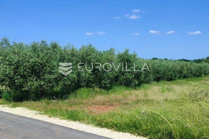 Land for sale 856 m² – Mušalež