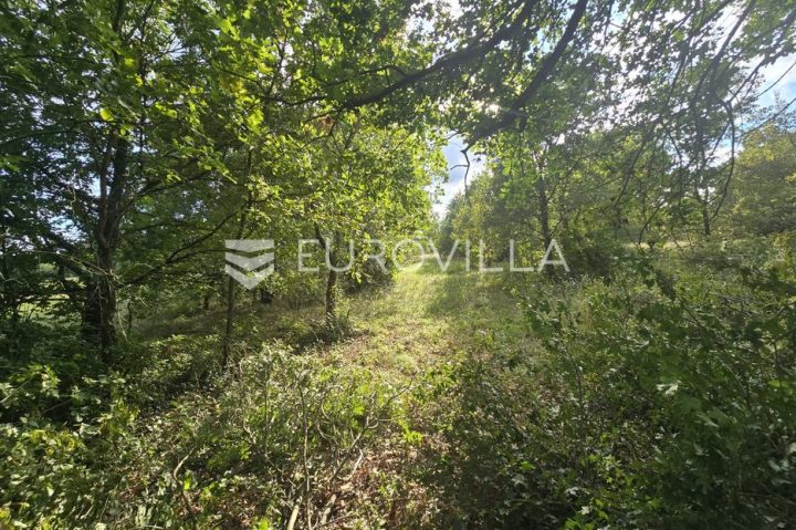Działka Na sprzedaż - Istarska Marčana - foto 2/6
