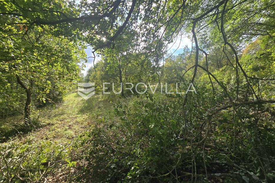 Parcela Na predaj -  Marčana