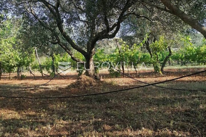 Terreno in vendita 8271 m² – Rovinj