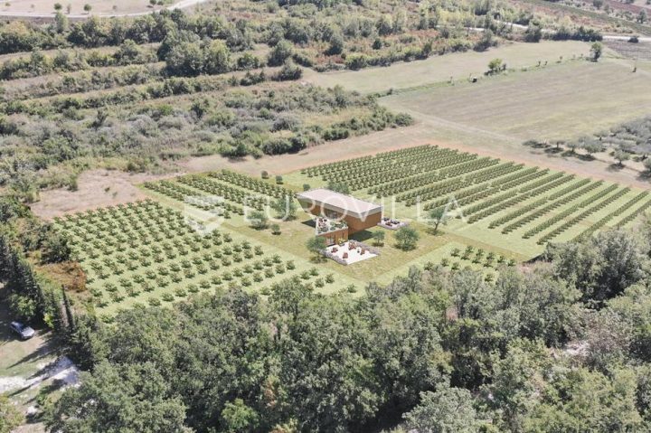 Grundstück zu verkaufen 26700 m² – Kršete